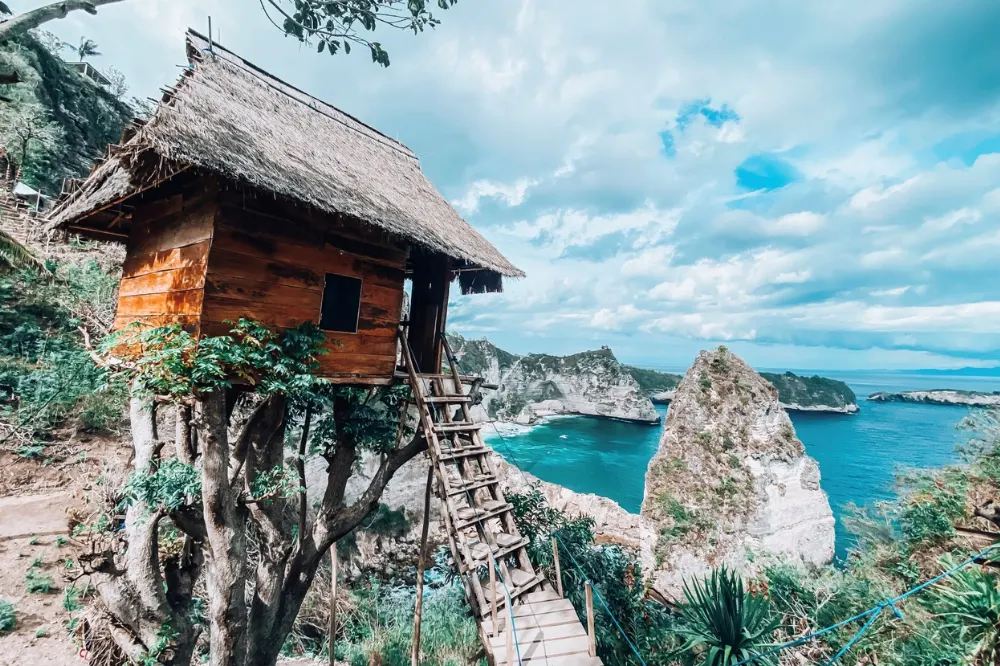 tree house nusa penida 2